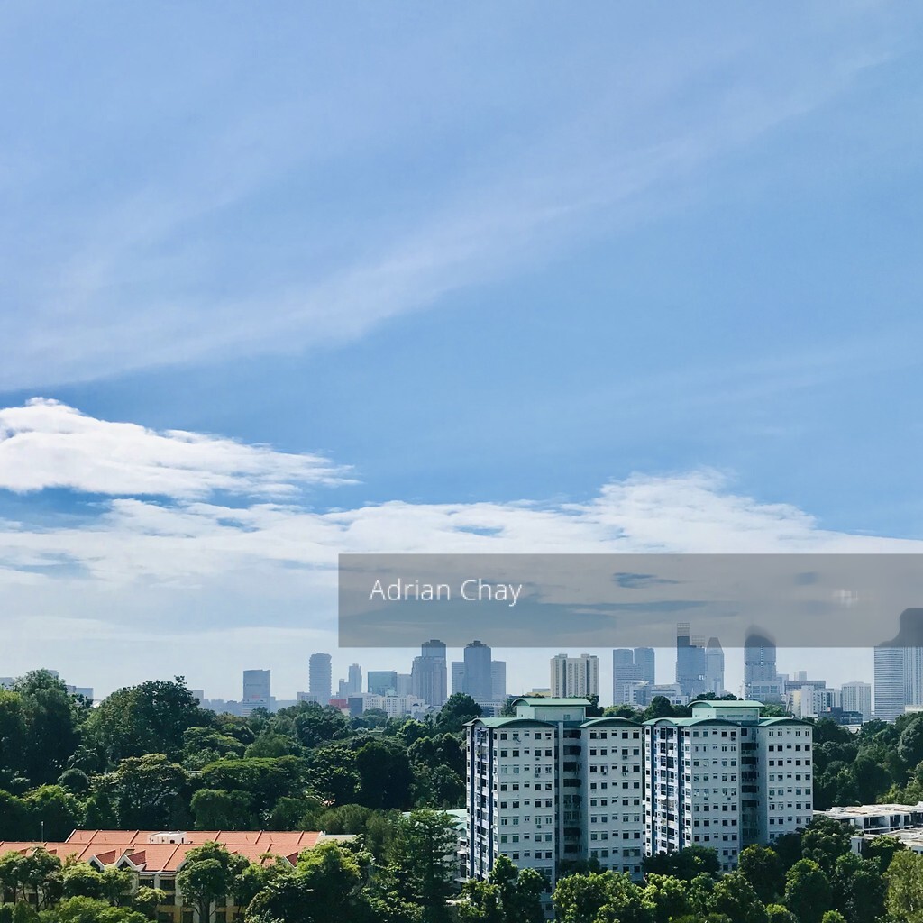 The Light @ Cairnhill (D9), Condominium #255130931